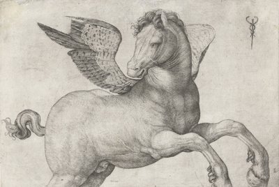 Pegasus, 1509-16 af Jacopo de Barbari