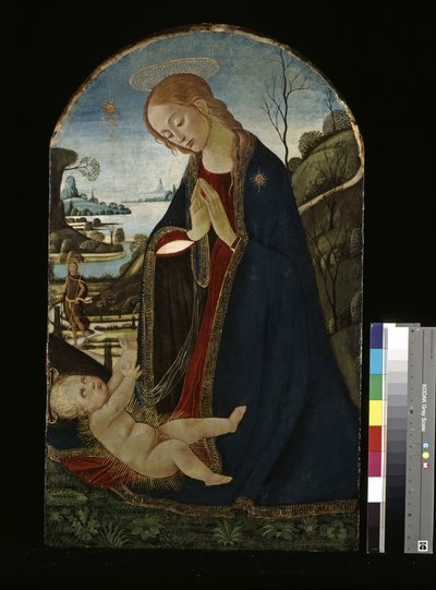 Madonna tilbeder Kristusbarnet (olie på træ) af Jacopo del Sellaio