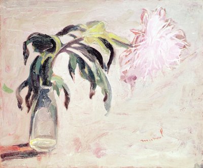 En krysantemum i en flaske (olie på lærred) af Jacqueline Marval