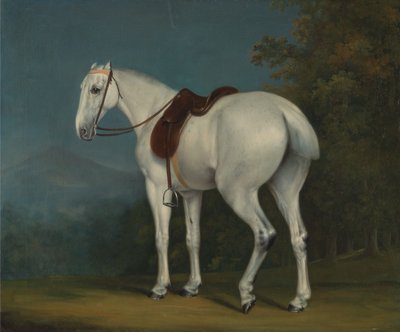 En dames grå jæger af Jacques-Laurent Agasse