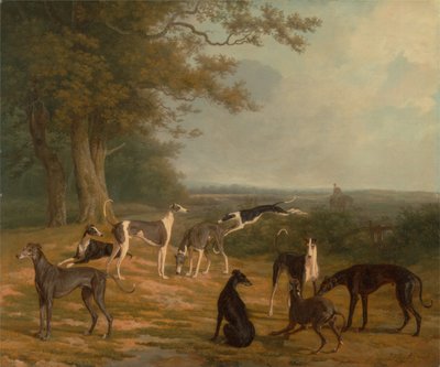Ni gråhunde i et landskab af Jacques-Laurent Agasse