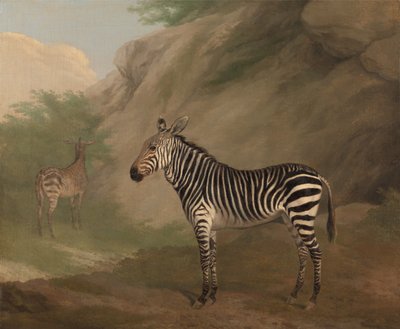 Zebra af Jacques-Laurent Agasse