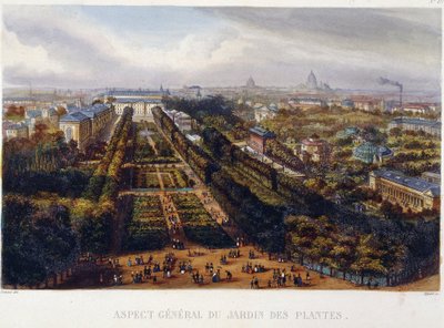Udsigt over Jardin des Plantes - litografi af Testard af Jacques Alphonse (after) Testard