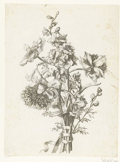 Buket med anemoner, en hyacint og delphiniums Diverse Fleurs mises en Boucquets (serietitel) af Jacques Bailly (I)