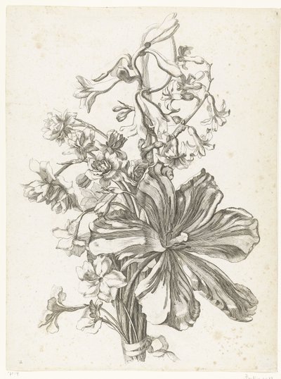 Buket med en tulipan, en hyacint, brodiaea og påskeliljer Diverse Fleurs mises en Boucquets (serietitel) af Jacques Bailly (I)