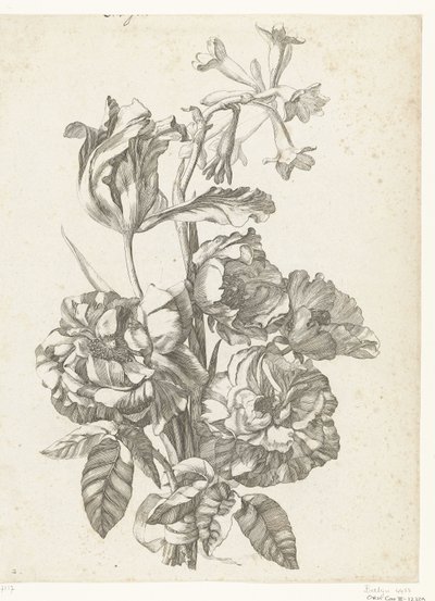 Buket med pæoner, en tulipan og en brodiaea Diverse Fleurs mises en Boucquets (serietitel) af Jacques Bailly (I)