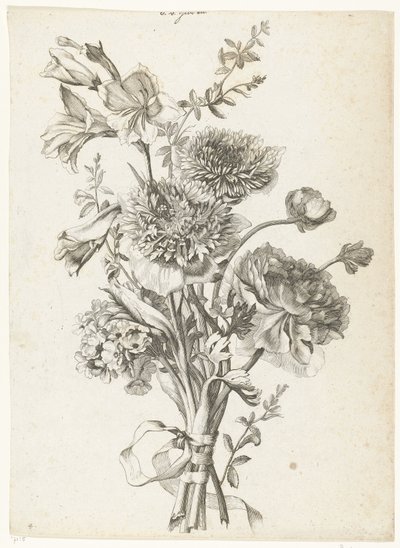 Buket af anemoner Buket med anemoner, en pæon, stilkeblomster og gladiolus Diverse Fleurs mises en Boucquets (serietitel) af Jacques Bailly (I)