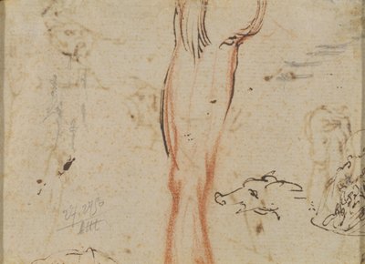 Et Ben og et Grisehoved af Jacques Callot