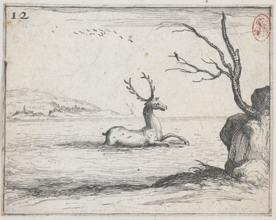 En kronhjort i vandet - nr. 12 fra serien af Jacques Callot