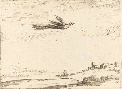 Paradisfugl af Jacques Callot