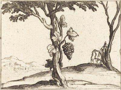 Klase druer af Jacques Callot