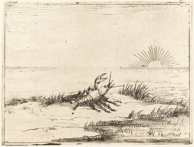 Krebs ser på solen af Jacques Callot
