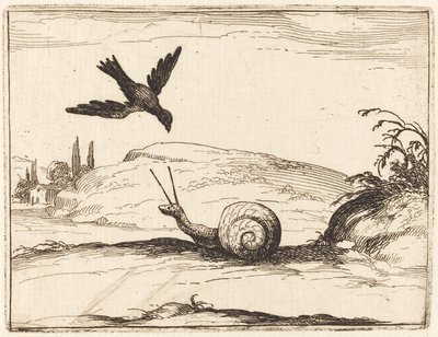 Krage og snegl af Jacques Callot