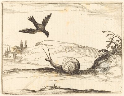 Krage og snegl af Jacques Callot