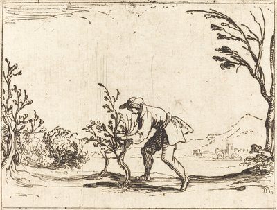 Mand skærer et balsam-træ af Jacques Callot