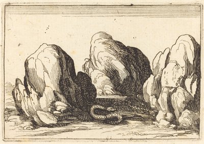 Slange, 1628. af Jacques Callot