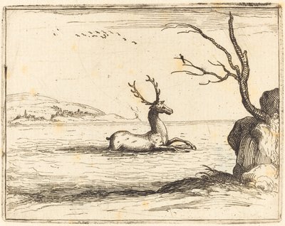 Hjort i vandet af Jacques Callot