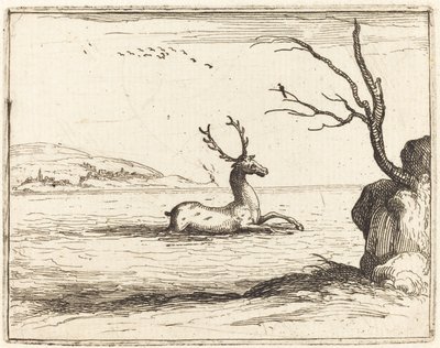 Hjort i vandet, 1628. af Jacques Callot