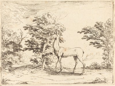 Doe. af Jacques Callot