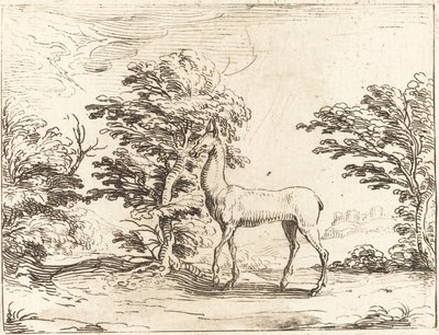 Doe af Jacques Callot