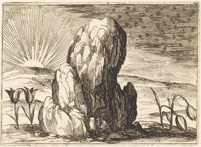 Tulipanerne og Solen af Jacques Callot