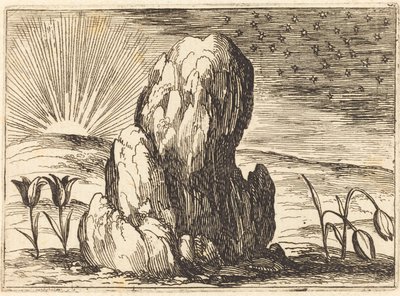 Tulipanerne og solen af Jacques Callot