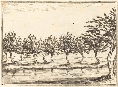 Piletræer ved Vandkanten af Jacques Callot