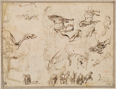 Studier af heste [verso] af Jacques Callot after Antonio Tempesta