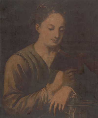 St. Catherine Reading af Jacques Christophe Le Blon