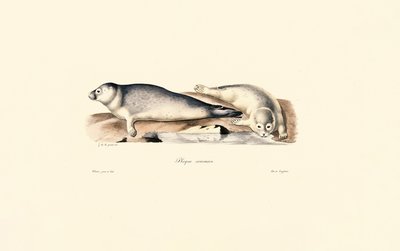 Fælles segl af Jacques Christophe Werner