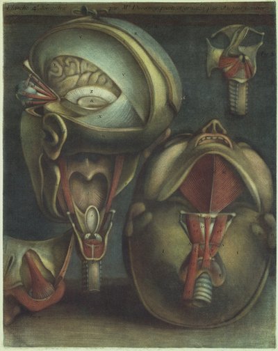 To syn på hovedet, 1746. af Jacques Fabien Gautier dAgoty