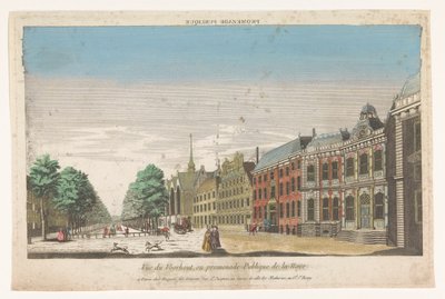 Udsigt over Lange Voorhout i Haag Promenade publique (titel på objekt) af Jacques Gabriel Huquier