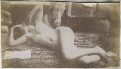 Studie af en kvindelig nøgenmodel, liggende på et tigerskind, i Jacques de Lalaings studie af Jacques Lalaing (attributed to)