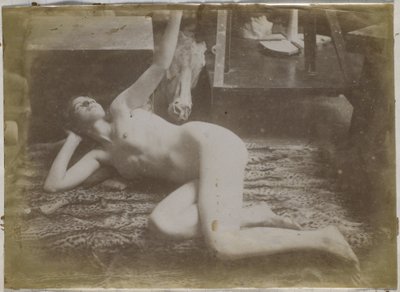 Studie af en kvindelig nøgenmodel, liggende på et tigerskind, i Jacques de Lalaings studie af Jacques Lalaing (attributed to)