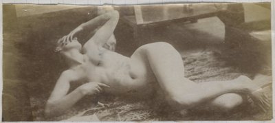 Studie af en kvindelig nøgenmodel, liggende på et tigerskind, i Jacques de Lalaings studie af Jacques Lalaing (attributed to)