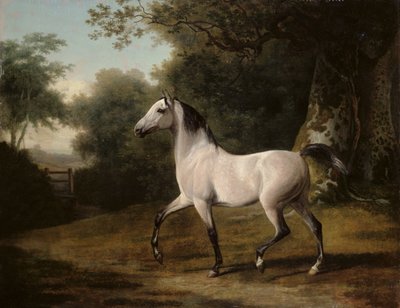 En grå arabisk hingst i et skovklædt landskab af Jacques Laurent Agasse
