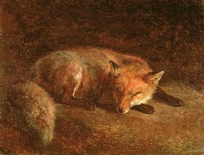Sovende ræv af Jacques Laurent Agasse