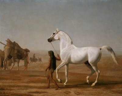 Wellesley Grey Arabian førte gennem ørkenen af Jacques Laurent Agasse