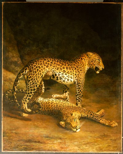To leoparder liggende i Exeter Exchange, 1808 af Jacques Laurent Agasse