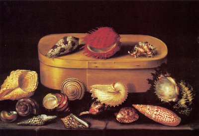 Stilleben med muslingeskaller af Jacques Linard