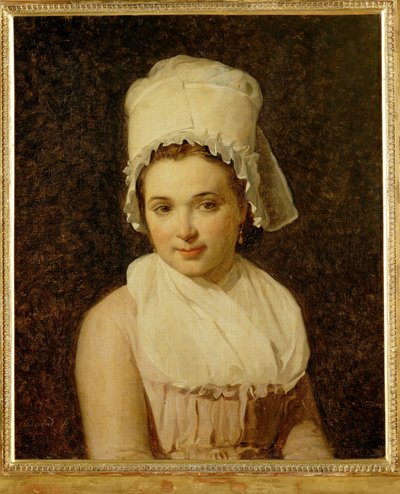 Catherine-Marie-Jeanne Tallard, hustru til Francois Lamy, borgmester i Sougere/Yonne ... af Jacques Louis David