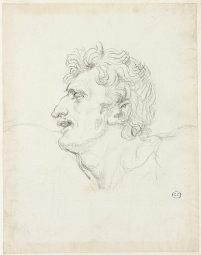 Leder af en mand, venstre profil af Jacques Louis David