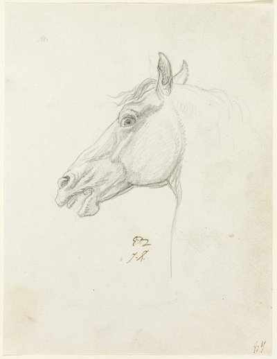 Hestens hoved af Jacques Louis David
