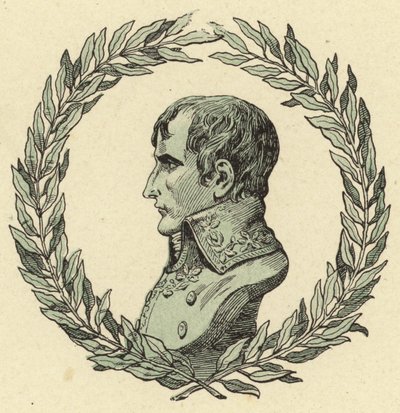Buste af Napoleon Bonaparte af Jacques Marie Gaston Onfray de Breville (Job)