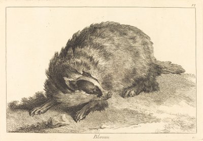 Blereau (grævling) af Jacques Philippe Le Bas and Jean Eric Rehn after Jean Baptiste Oudry