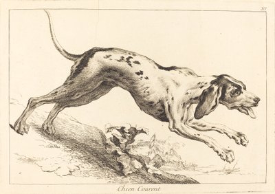 Chien courent (Running Hound) af Jacques Philippe Le Bas and Jean Eric Rehn after Jean Baptiste Oudry