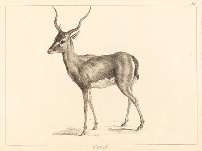 Gazelle (gazelle) af Jacques Philippe Le Bas and Jean Eric Rehn after Jean Baptiste Oudry