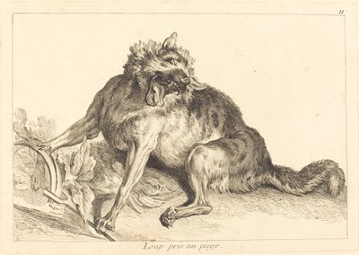 Ulv fanget i en fælde af Jacques Philippe Le Bas and Jean Eric Rehn after Jean Baptiste Oudry