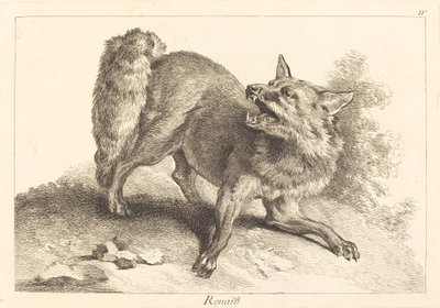 Renard (Fox) af Jacques Philippe Le Bas and Jean Eric Rehn after Jean Baptiste Oudry