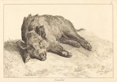 Sanglier (vildsvin liggende, hoved til venstre) af Jacques Philippe Le Bas and Jean Eric Rehn after Jean Baptiste Oudry